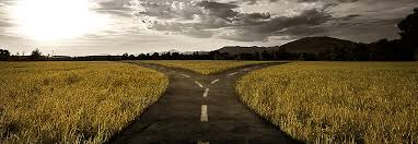 Country road splitting into two paths through golden fields under a cloudy sky.